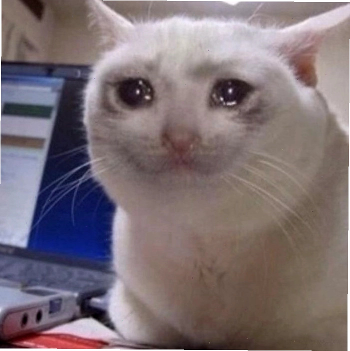 Meme mèo khóc với phụ đề hài hước về cuộc sống