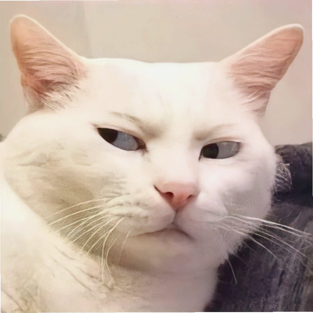 Meme mèo mặc vest lịch lãm