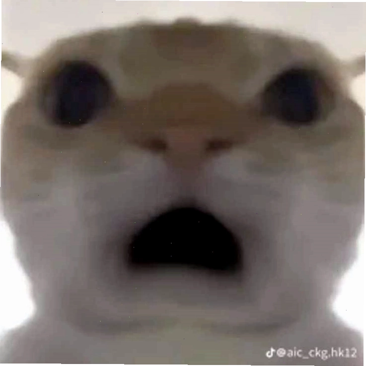 Meme ngạc nhiên với khuôn mặt há hốc mồm, thể hiện sự sốc cực độ