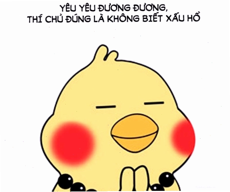 Meme ngầu từ biểu cảm độc đáo của động vật