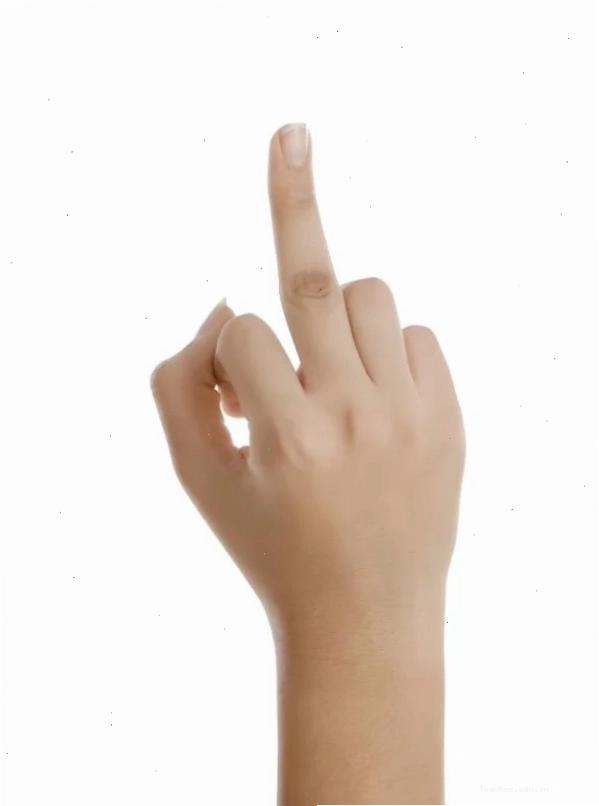 Meme ngón giữa thể hiện sự bất mãn
