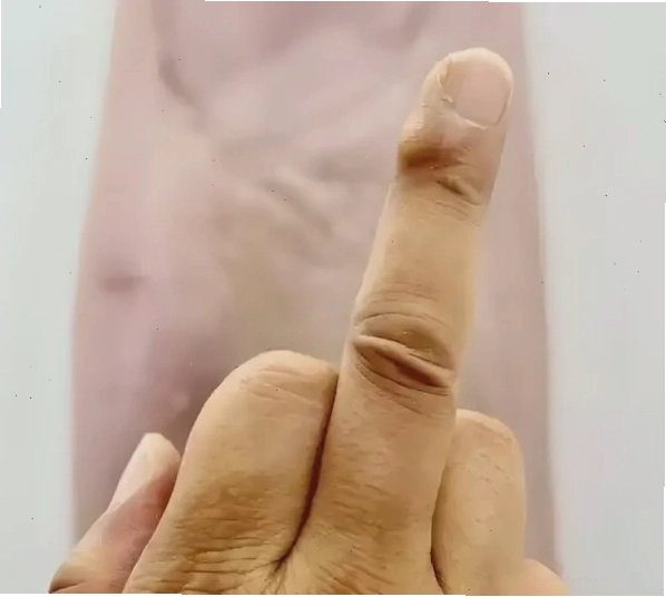 Meme ngón giữa với biểu cảm độc đáo