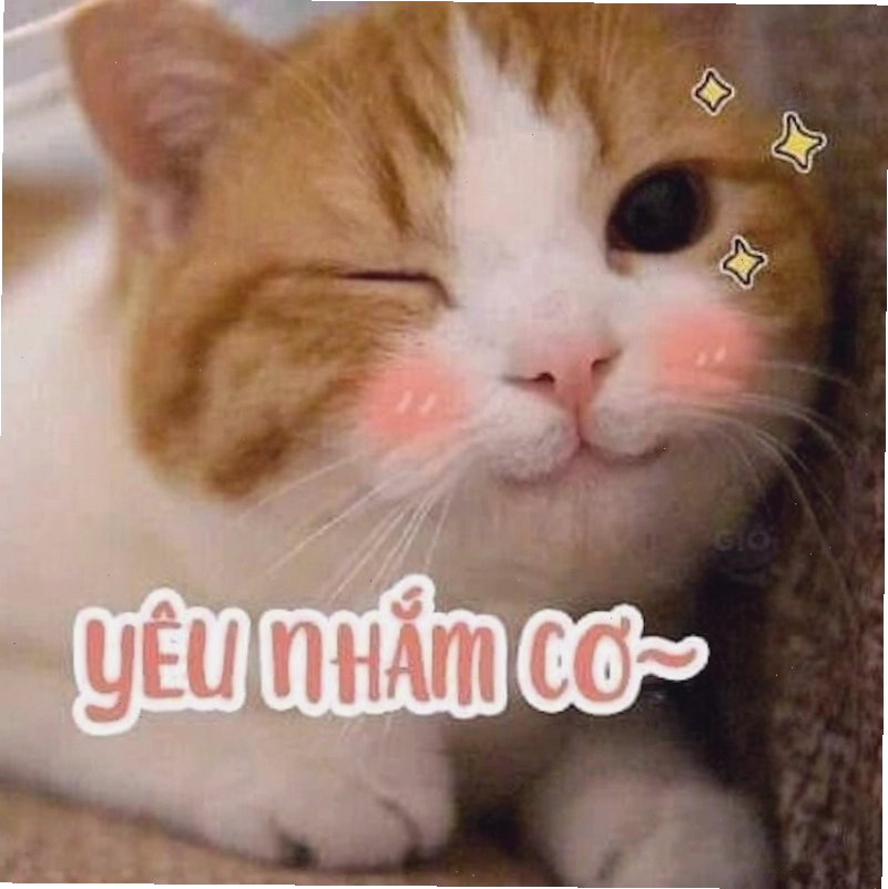 Meme tình yêu thể hiện sự quan tâm chăm sóc lẫn nhau