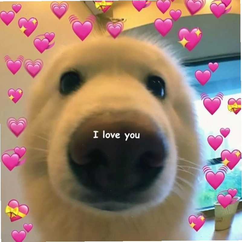 Meme tình yêu ý nghĩa về sự thấu hiểu trong mối quan hệ