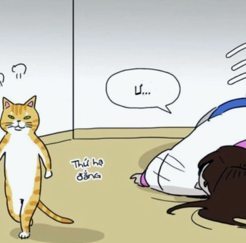 Meme tức giận dễ thương và đáng yêu
