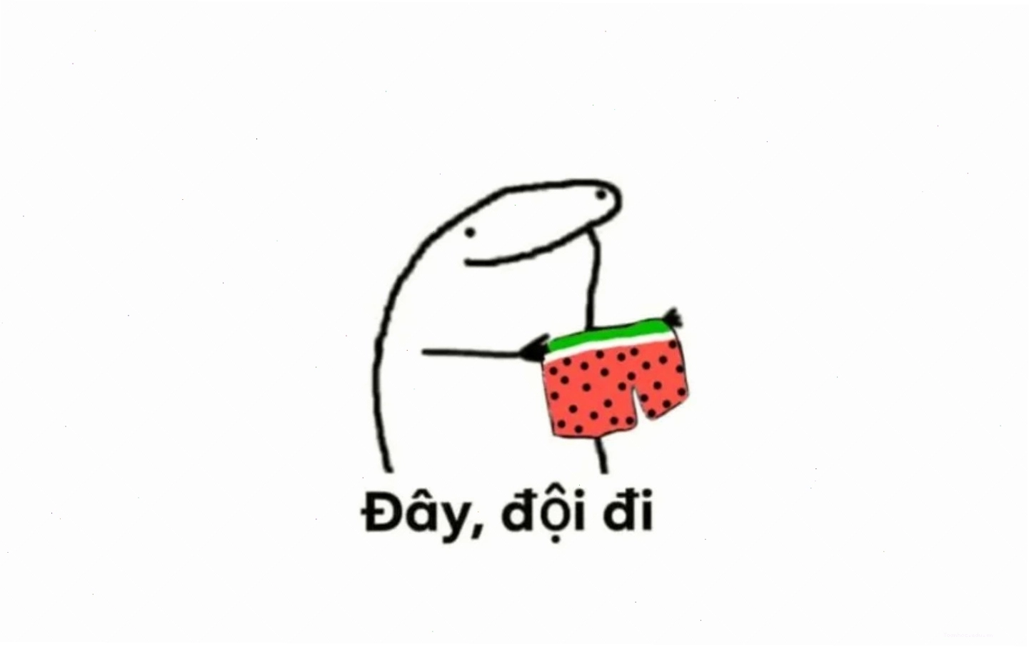 Meme về hình ảnh động vật hài hước