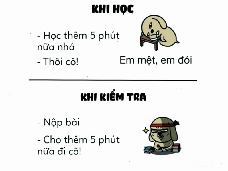 Meme vẽ minh họa sự khác biệt giữa 5 phút ôn bài và 5 phút làm bài kiểm tra