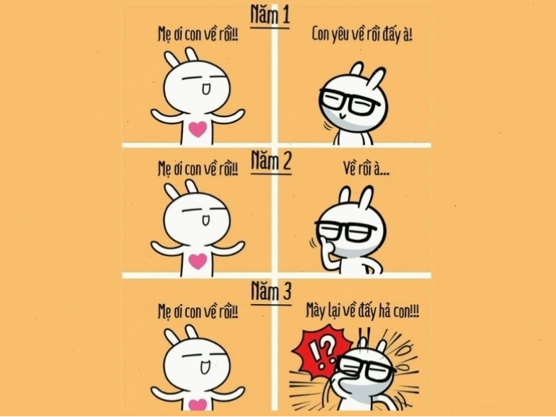 Meme vẽ minh họa thái độ của phụ huynh với con cái theo từng năm đại học