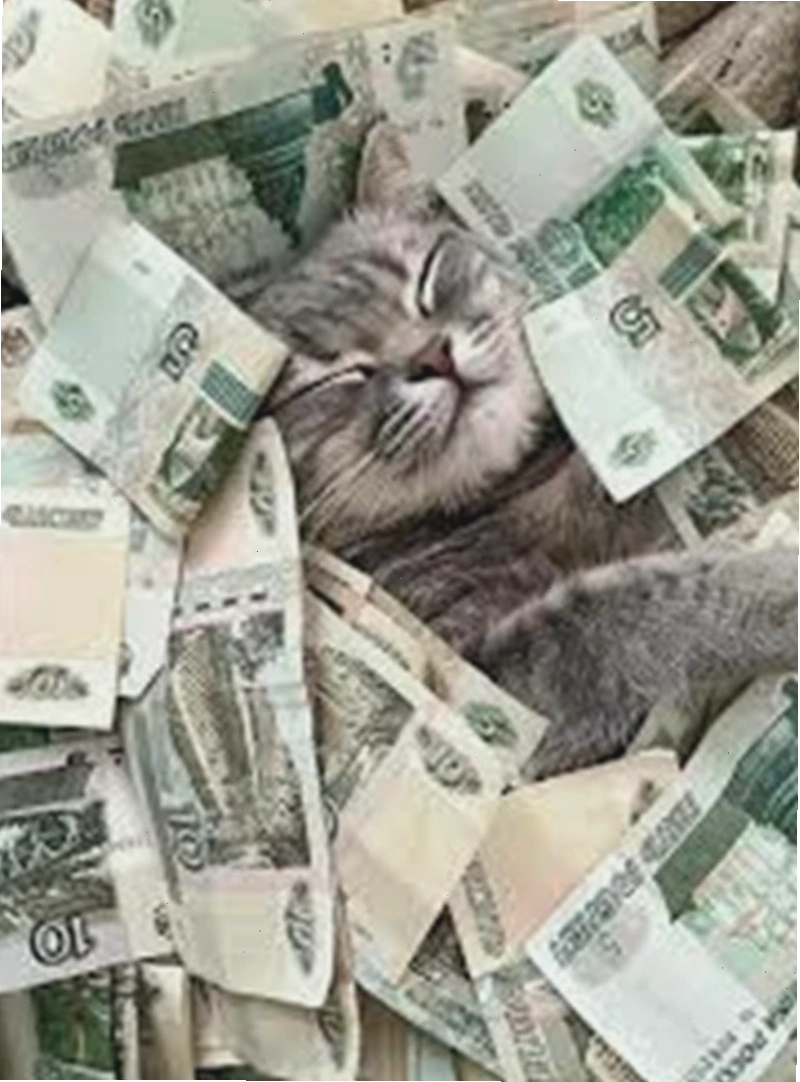 Meme về việc đưa tiền một cách tự tin và thoải mái