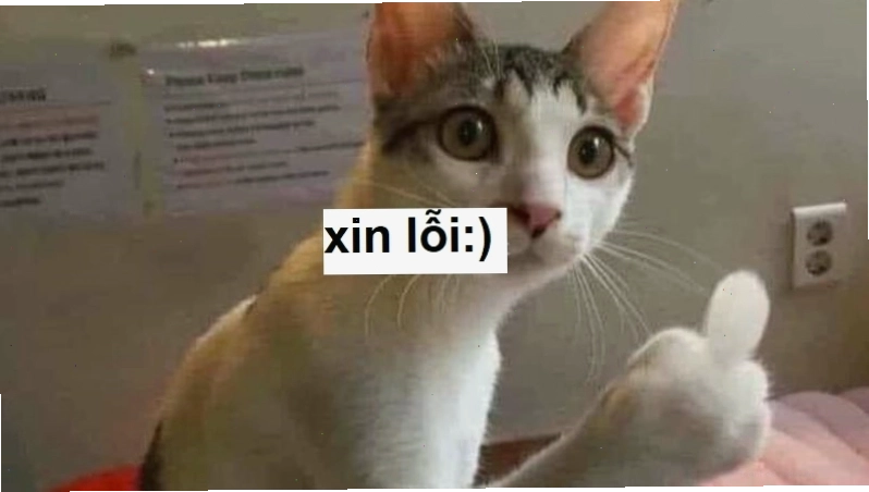 Meme xin lỗi cái đứa khó ưa