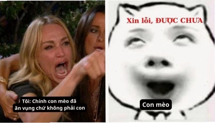 Meme xin lỗi được chưa với thái độ chờ đợi