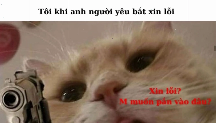 Meme xin lỗi hài hước với lời lẽ dí dỏm