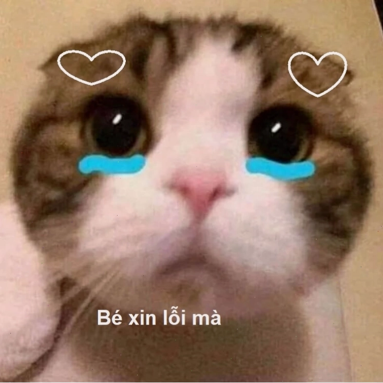 Meme xin lỗi người yêu với lời nhắn nhủ ngọt ngào