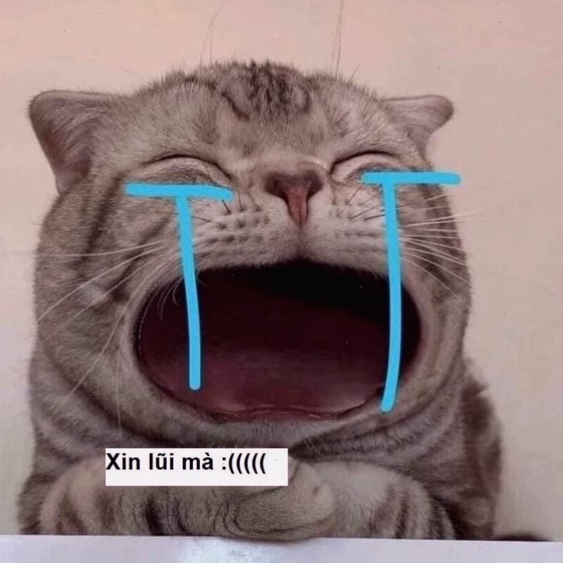 Meme xin lỗi với hình ảnh tiền bạc