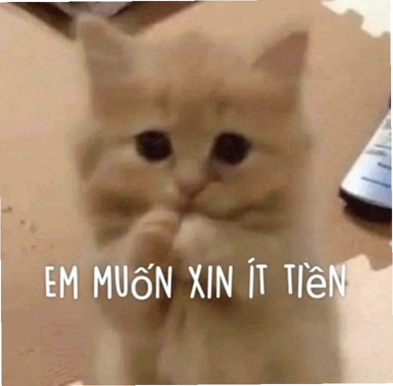 Meme xin tiền với hình ảnh biểu cảm cầu khẩn