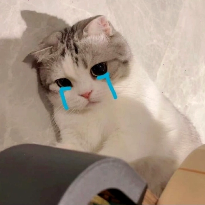 Mèo biểu cảm từ buồn đến vui trong meme