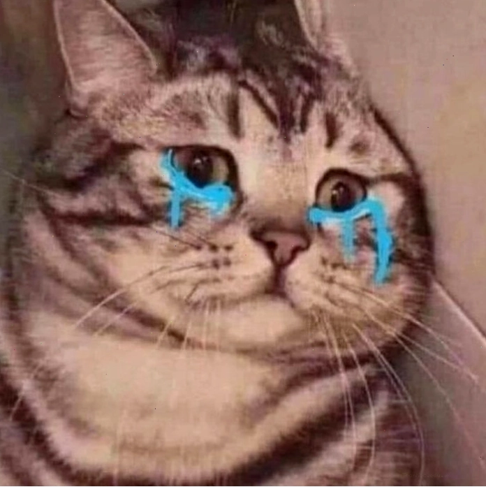 Mèo biểu cảm từ buồn đến vui trong meme
