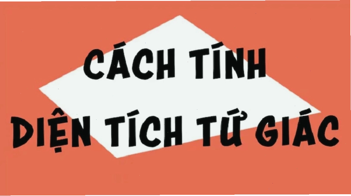 Minh họa các loại hình tứ giác cơ bản