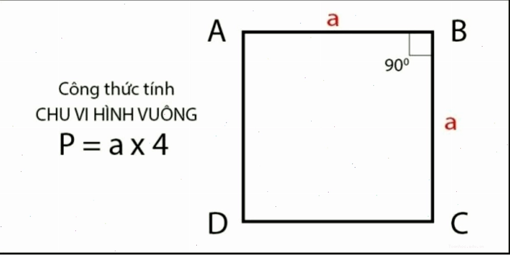 Minh họa hình vuông với các cạnh bằng nhau