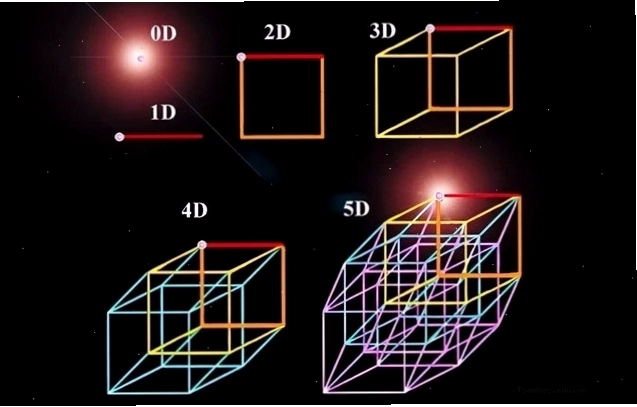 Mô hình giải phẫu 3D được sử dụng trong y học