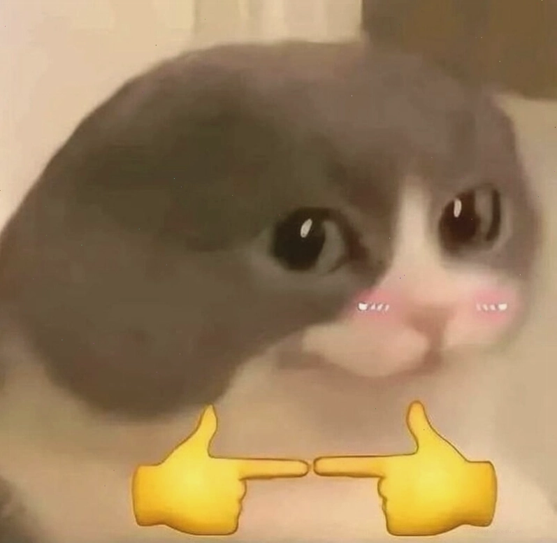 Một chú mèo với biểu cảm hài hước, được sử dụng như meme ngầu