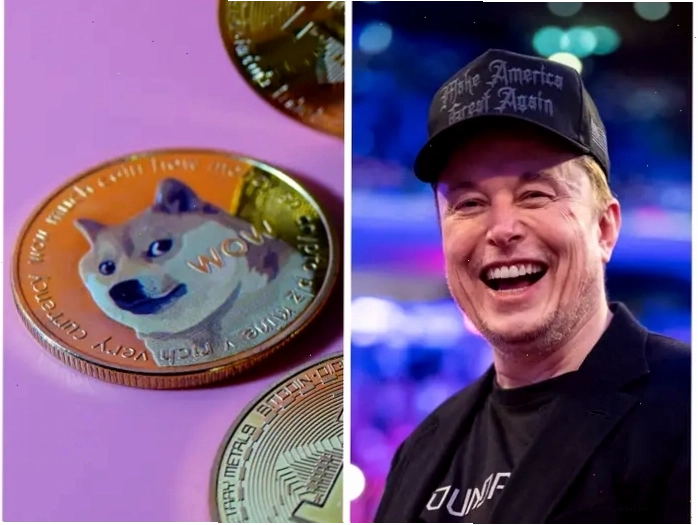 Sự kết hợp giữa Dogecoin và Elon Musk, hai yếu tố tạo nên sức hút lớn trên thị trường tiền mã hóa