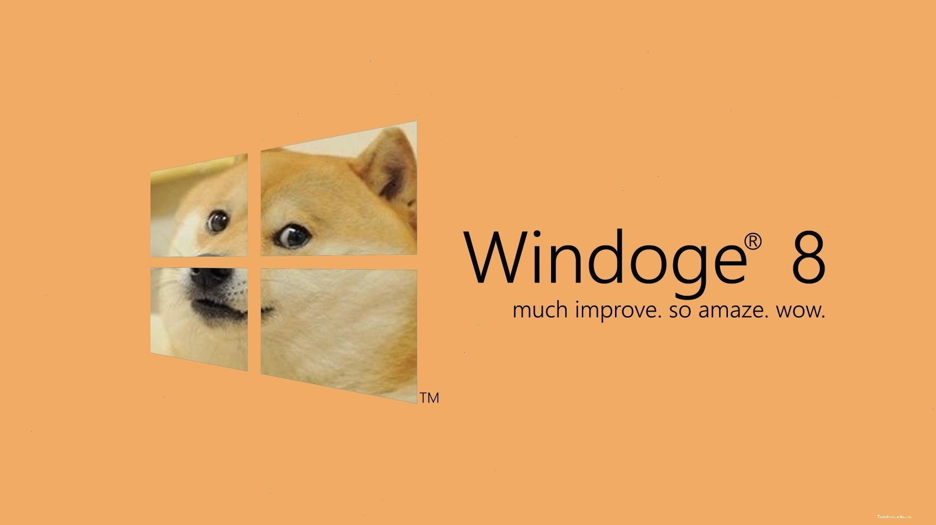 Such Wallpaper. Wow. Very 1920x1080