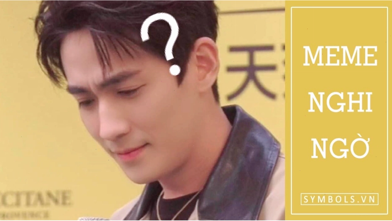 Tấm ảnh meme nghi ngờ hài hước và dí dỏm