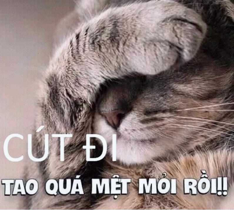 Tìm hiểu sức hút của meme cút và cách chúng lan tỏa