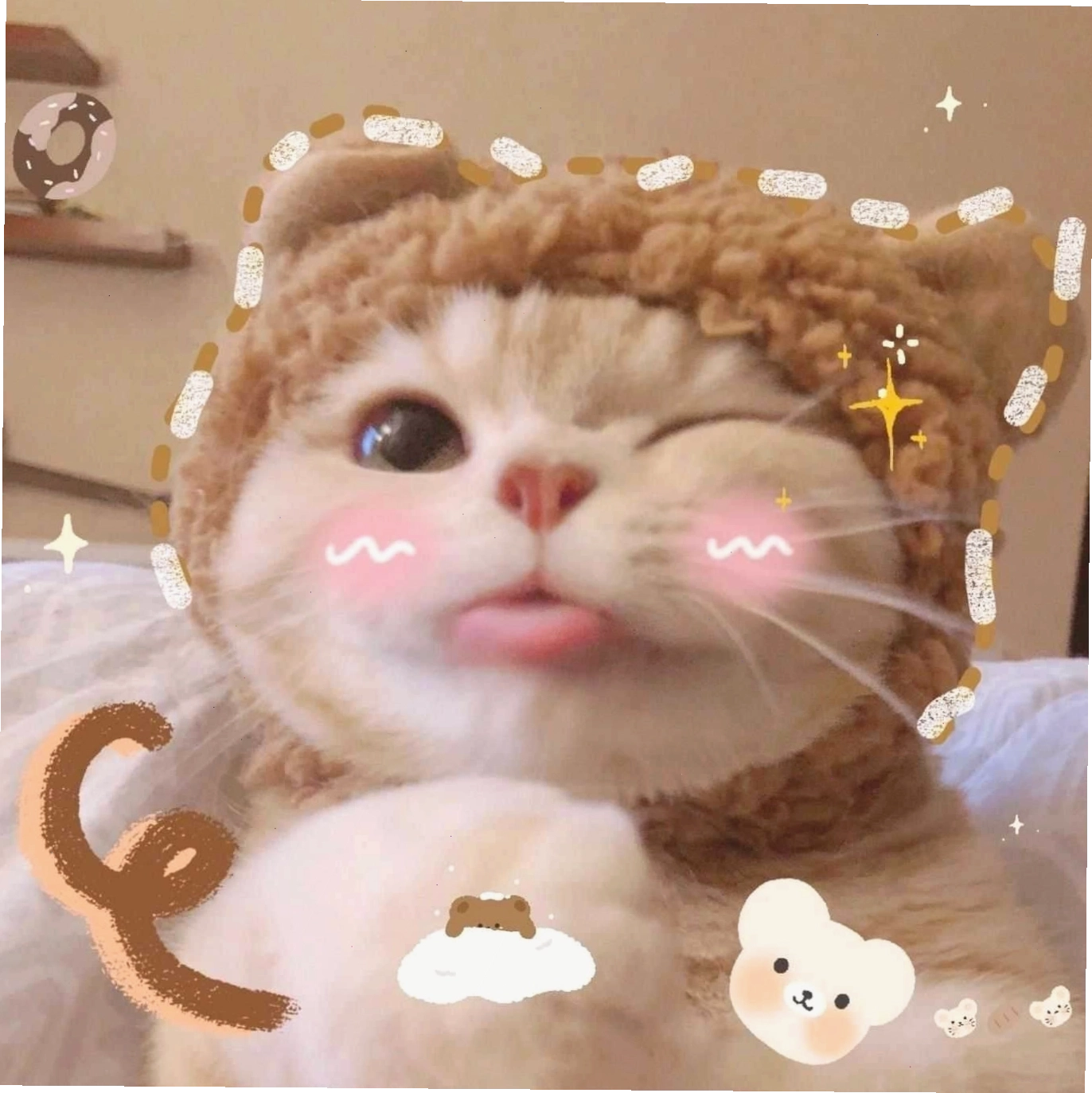Tổng hợp hình ảnh mèo cười cute thu hút mọi ánh nhìn
