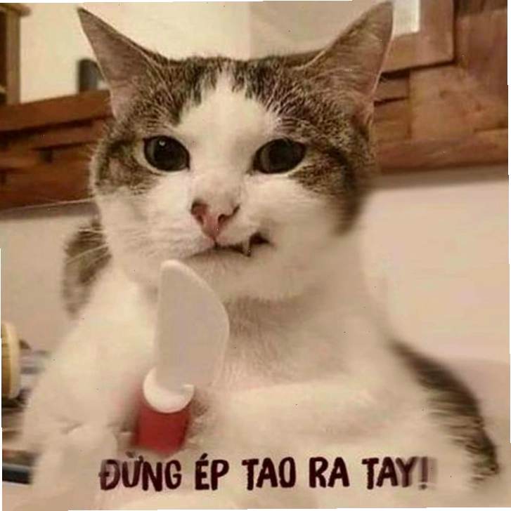 Tổng hợp meme tức giận cute, dễ thương, tức ghê, giận tím người