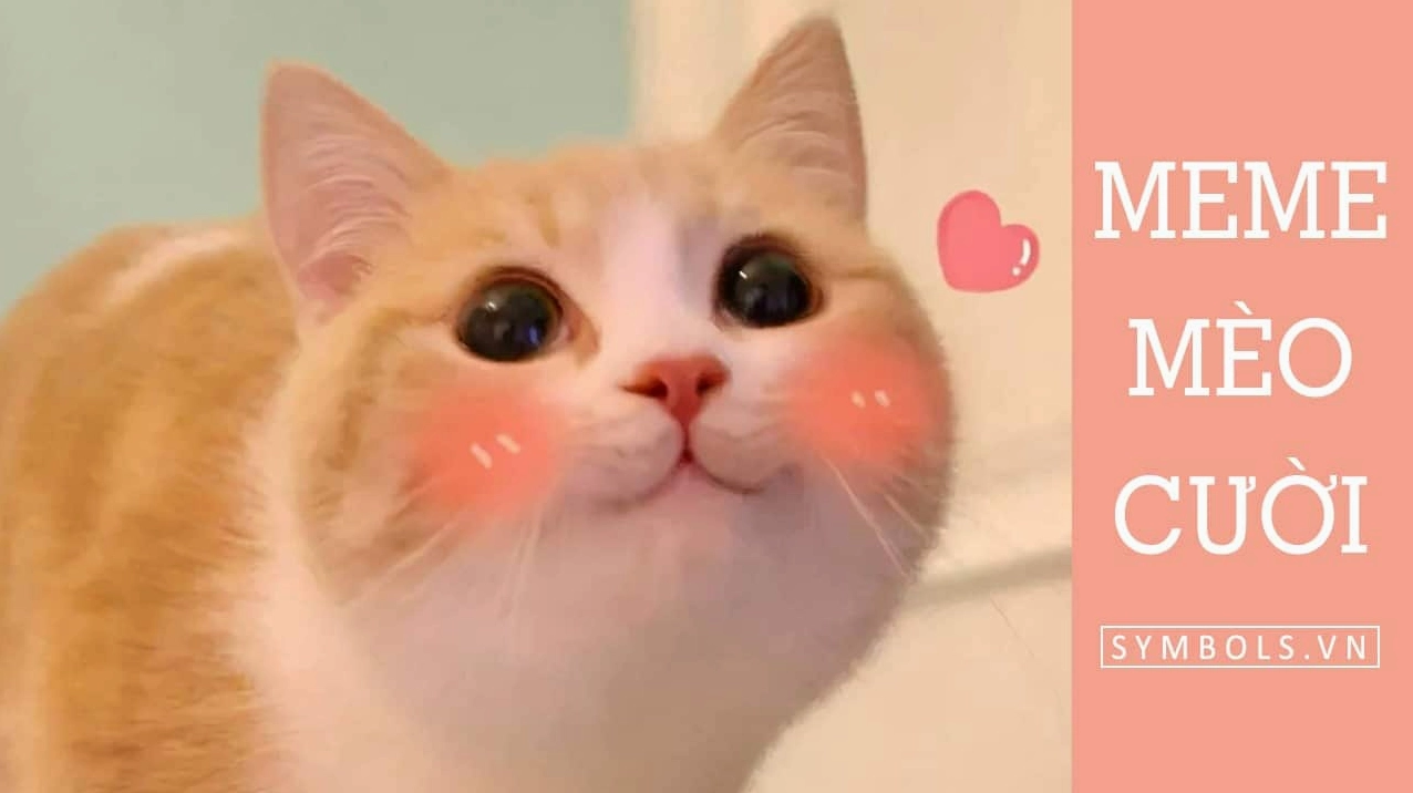 Top Meme Mèo Cười Nhe Răng Hài Hước Nhất Năm 2026