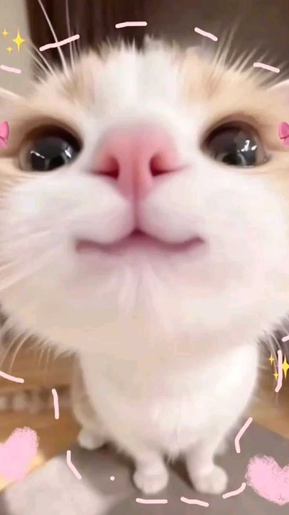 Tuyển tập hình nền điện thoại cute ngầu độc đáo cho năm 2026