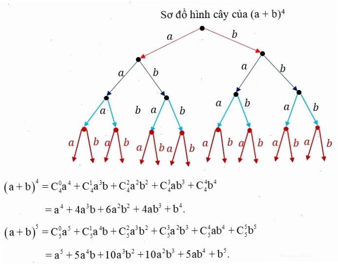 Ví dụ bài toán tìm hệ số trong khai triển nhị thức Newton