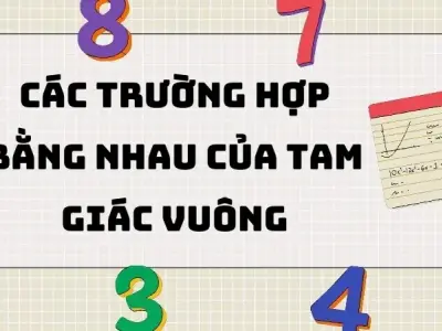 Các trường hợp bằng nhau của tam giác vuông 