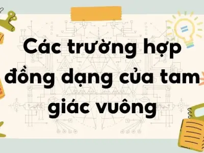 Lý thuyết Các trường hợp đồng dạng của tam giác vuông
