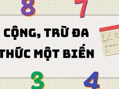 Cộng trừ đa thức một biến là gì? Định nghĩa và khái niệm cơ bản