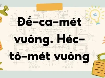 Lý thuyết về đề-ca-mét vuông và héc-tô-mét vuông - Toán 5