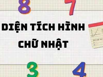 Tổng hợp kiến thức và công thức tính diện tích hình chữ nhật