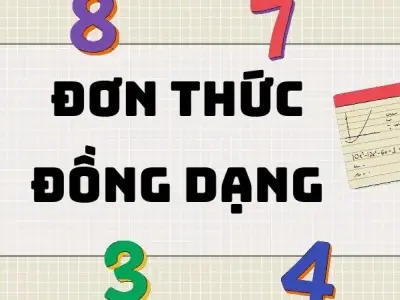 Tổng hợp kiến thức quan trọng bài đơn thức đồng dạng