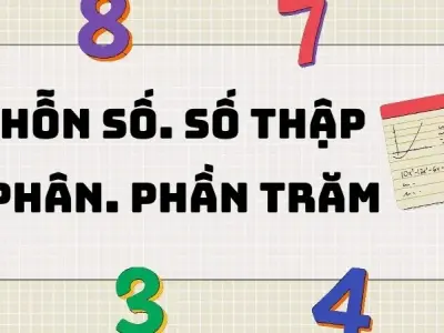 Tổng hợp kiến thức hỗn số số thập phân và phần trăm