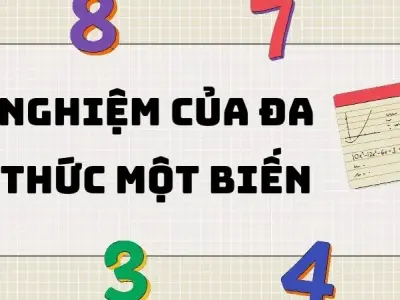 Lý thuyết quan trọng và cách tìm nghiệm của đa thức một biến