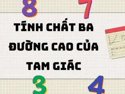 Hệ thống kiến thức về tính chất ba đường cao của tam giác