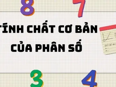 Tính chất cơ bản của phân số: Kiến thức quan trọng cần nắm