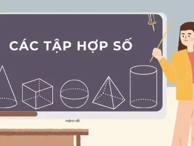 Hướng dẫn toàn diện về các tập hợp số từ cơ bản đến nâng cao