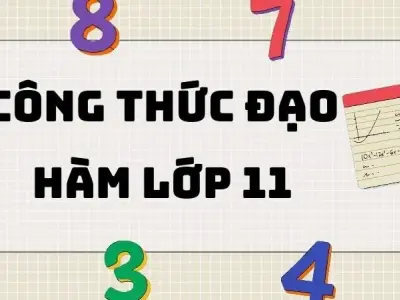 Tổng hợp công thức đạo hàm lớp 11 có bài tập vận dụng