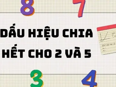 Tổng hợp kiến thức: Dấu hiệu chia hết cho 2 và 5