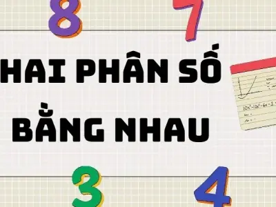 Hai phân số bằng nhau: Tính chất và các dạng bài thường gặp