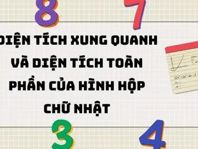 Diện tích xung quanh và diện tích toàn phần của hình hộp chữ nhật