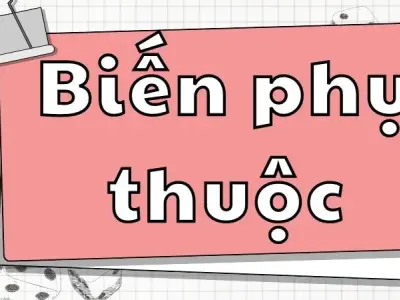 Mối quan hệ giữa biến phụ thuộc và biến độc lập trong xác suất thống kê